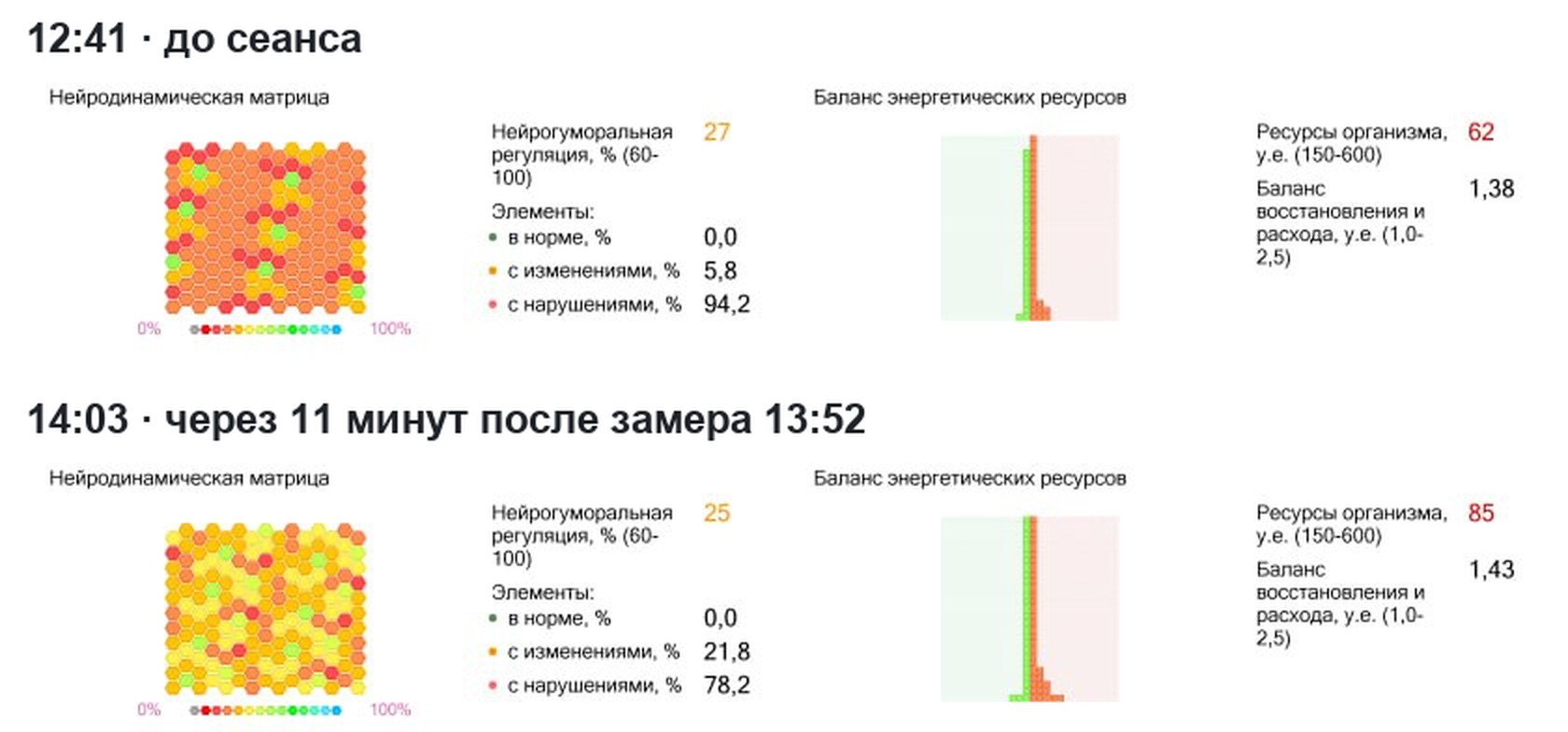 Нейродинамическая матрица в протоколах 12:41 и 14:03 (фрагменты, данные пациентки скрыты).