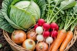 Диетолог Мухина назвала полезные для печени продукты