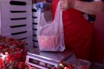 Диетолог раскрыла правила выбора клубники во избежание летального исхода