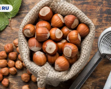 «Прекрасно сохраняет все витамины»: рецепты и секреты правильного приготовления фундука «Прекрасно сохраняет все витамины»: рецепты и секреты правильного приготовления фундука