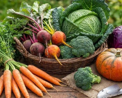 Диетолог Мухина назвала полезные для печени продукты