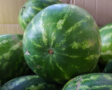 5 признаков испорченного арбуза, которые вы бы никогда не заметили