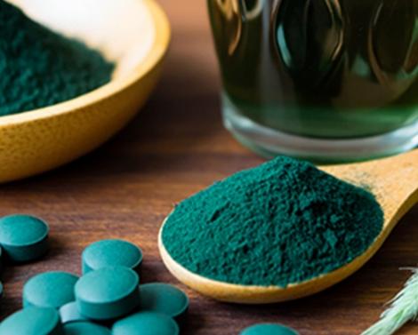 Спирулина: польза и вред для здоровья, особенности потребления