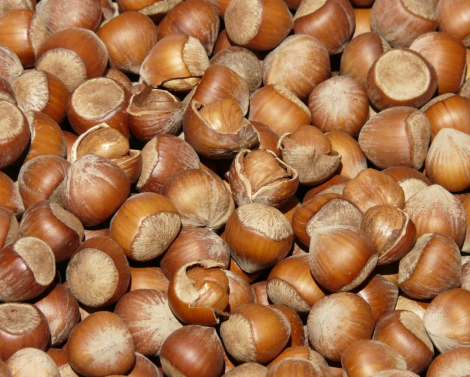 Как лучше всего есть фундук? Как лучше всего есть фундук?