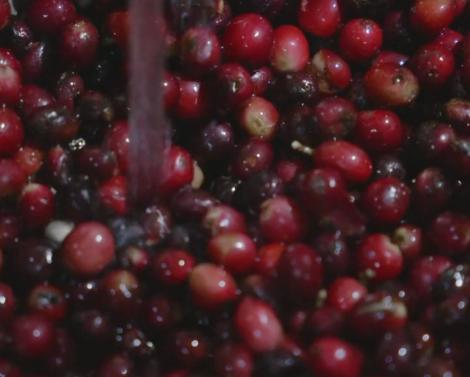 Польза клюквы Польза клюквы