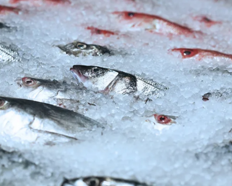 Диетолог Мухина рассказала, какой способ приготовления рыбы максимально подходит для здорового питания