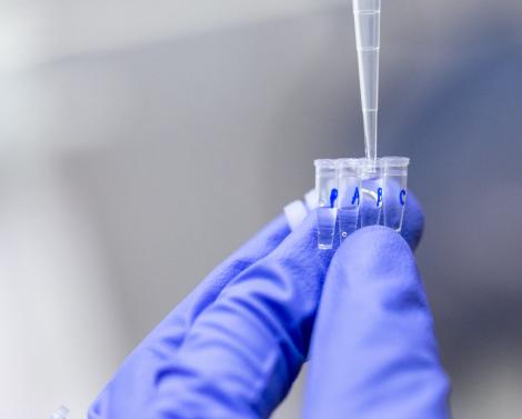 Страдающие бессонницей клещи могут вызвать инфекционный шок