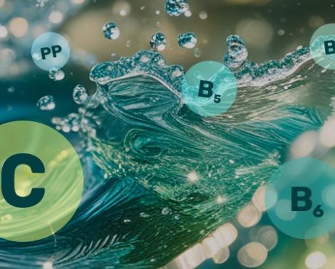 Какие витамины являются водорастворимыми